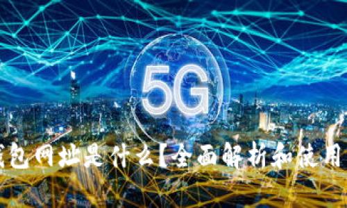 TP钱包网址是什么？全面解析和使用指南