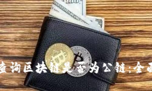 如何查询区块链是否为公链：全面指南