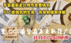 数字货币BCS是什么意思？在当今全球金融市场中