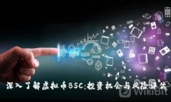 深入了解虚拟币BSC：投资机会与风险评估