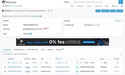 TP身份钱包与单网络钱包的全面对比与解析