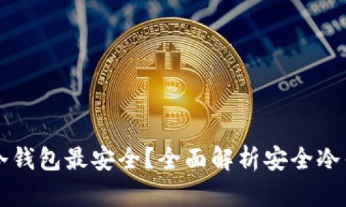 比特币存哪个冷钱包最安全？全面解析安全冷钱包的选择标准