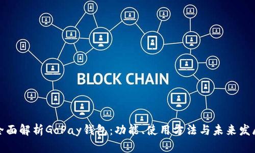 全面解析GoPay钱包：功能、使用方法与未来发展