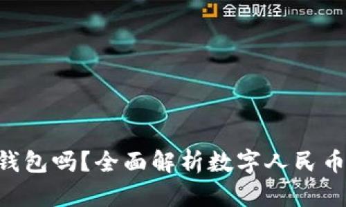 dCEP是什么？它是冷钱包吗？全面解析数字人民币的安全性与使用方式